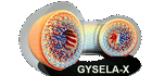 GyselaX